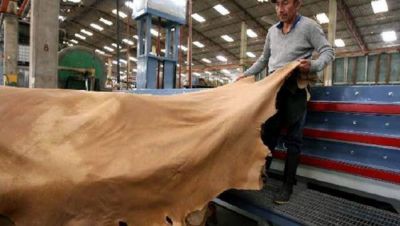 15 meses consecutivos de ca�da de la producci�n industrial: 