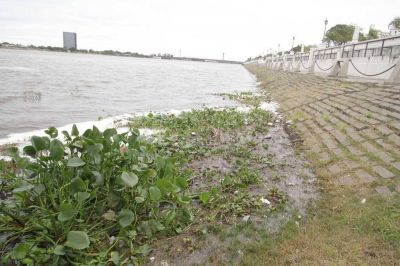 El r�o Paran� ya super� los 5 metros en el puerto de Santa Fe