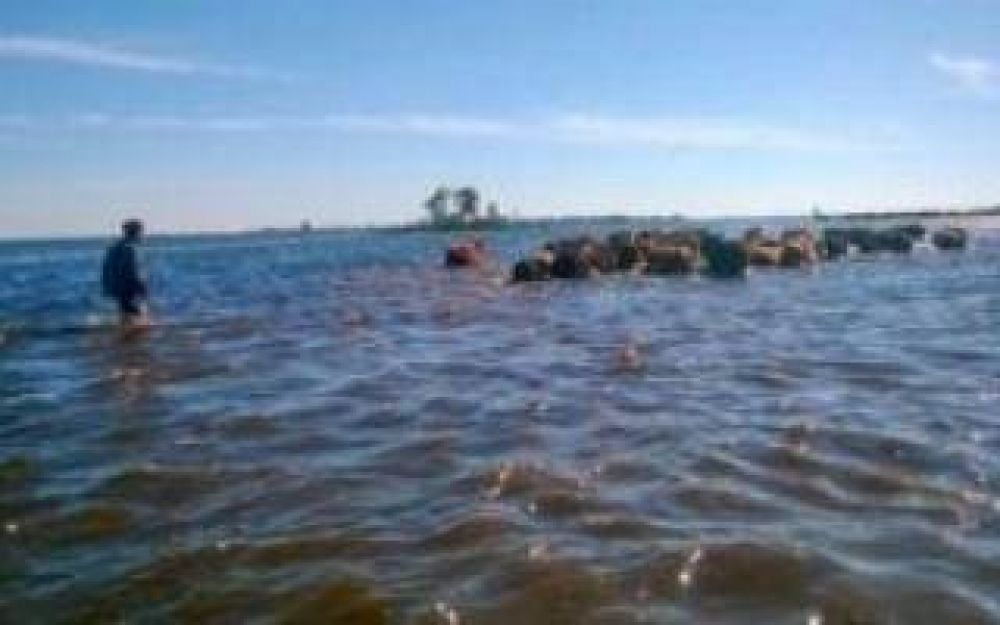Por las inundaciones, ser� nula la siembra de invierno en General Villegas