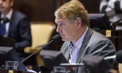 Lissalde: �Al Gobierno le preocupa m�s cumplir la meta del super�vit que el bienestar de personas con discapacidad�