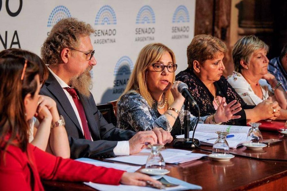 Recorte de pensiones por discapacidad: Boyadjian reclam sensibilidad al gobierno de Macri