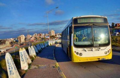 Metrobus en Neuqu�n : Dan a conocer las propuestas