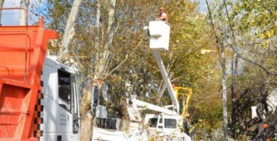 El Municipio realiza trabajos de poda en distintos barrios