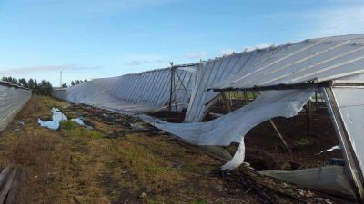 Sin ayuda oficial, productores frutihort�colas suman problemas