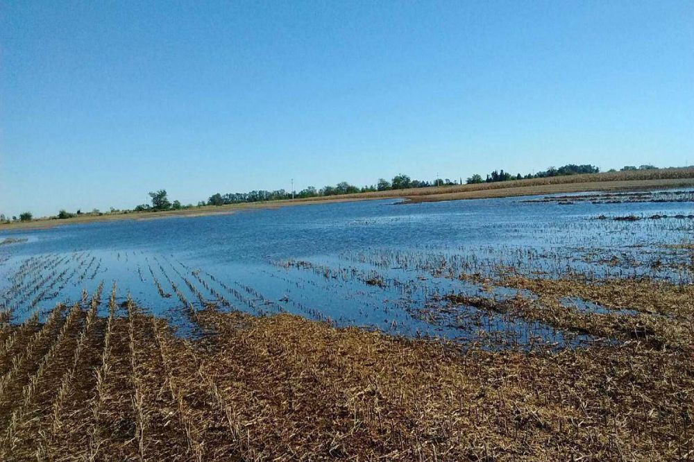 Productores piden �gente id�nea que haga el manejo de agua como corresponde�