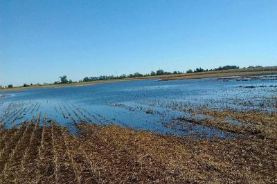 Productores piden �gente id�nea que haga el manejo de agua como corresponde�