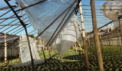 Profunda preocupaci�n en el sector frutihort�cola por falta de ayuda del Estado