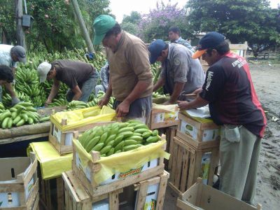 Cooperativistas formose�os refuerzan sus canales de comercializaci�n