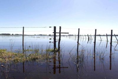 Emergencia agropecuaria: Desde la Rural aseguran que todav�a no hay novedades