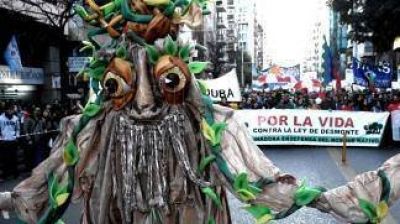 Organizaciones ambientales marcharon en defensa de los bosques nativos