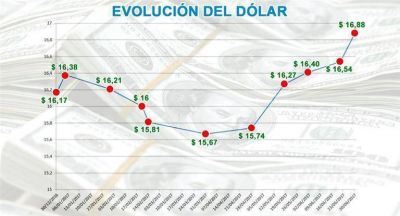 El d�lar trep� un 4,4% en el primer semestre a $ 16,88, su nuevo r�cord