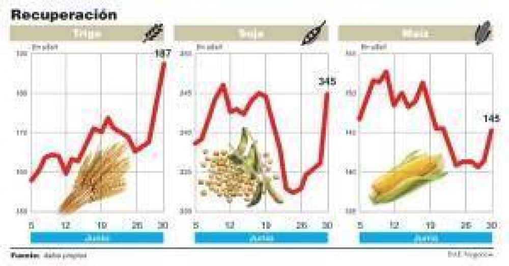 La soja se dispar 15%, volvi a valores de febrero y podra quitarle presin al dlar