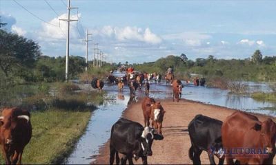 Casi seis mil productores declararon p�rdidas y Naci�n ya aval� la emergencia agropecuaria