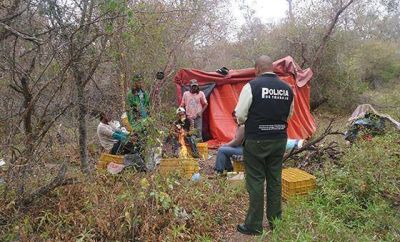 Detectan trabajo infantil en una finca de Salta