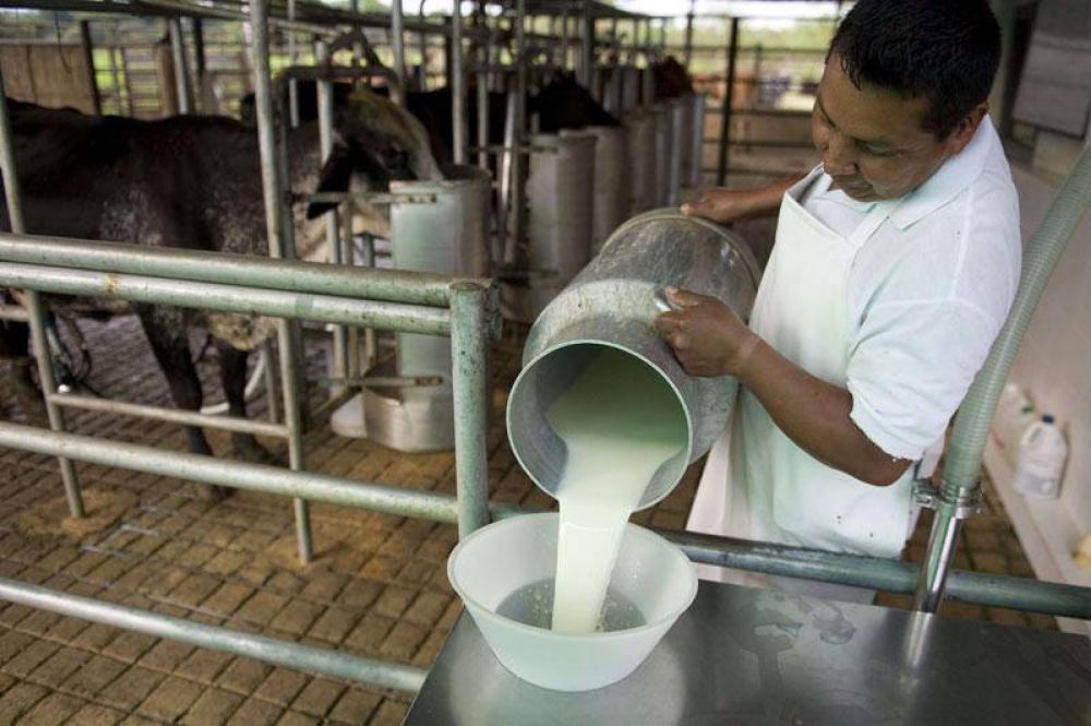 El Gobierno lanza este mi�rcoles el plan �L�cteos San Luis�