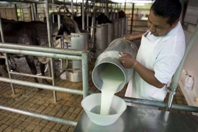 El Gobierno lanza este mi�rcoles el plan �L�cteos San Luis�