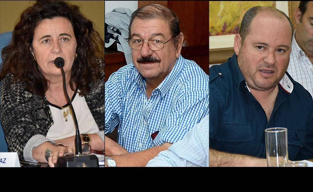 Cambiemos present� en la Legislatura el pedido de intervenci�n a Lonquimay