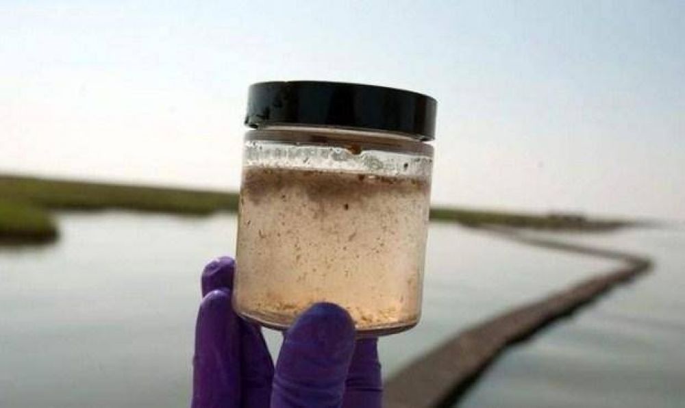 Crean un dispositivo que reduce el ars�nico en el agua