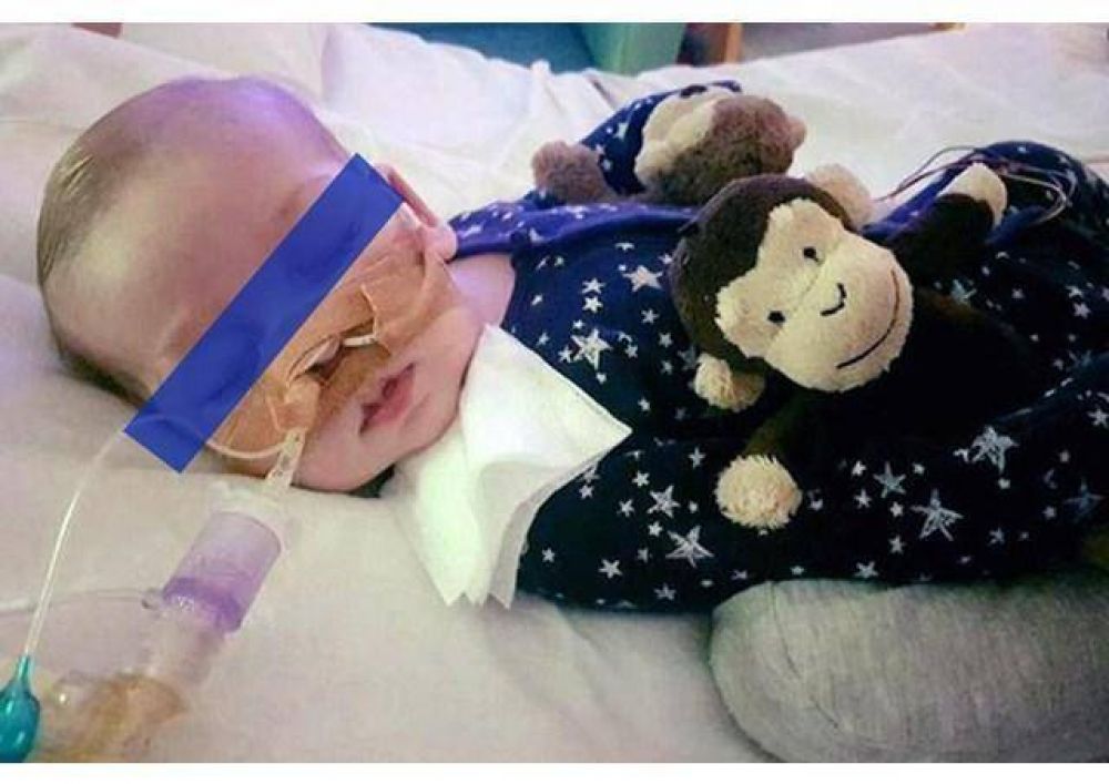 La �cari�o terapia� cura y el Papa pide acompa�ar y cuidar la vida hasta el final