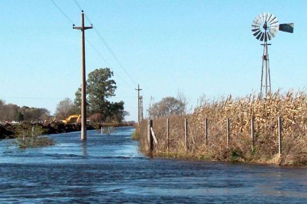 Suman 20 mil hect�reas a la emergencia agropecuaria