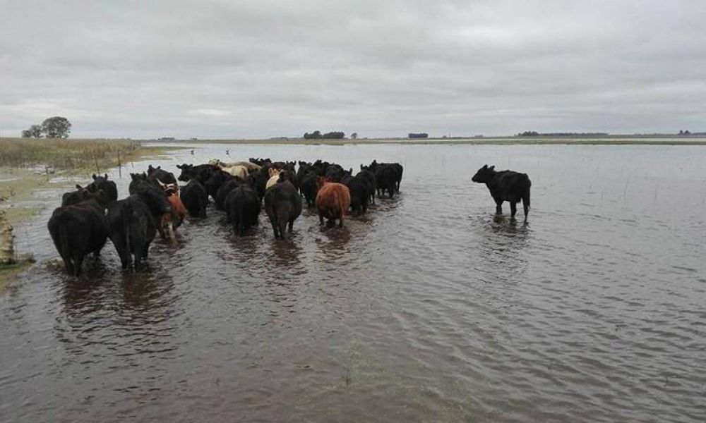 Reclaman en redes al Intendente Galli por los caminos rurales: �ya son intransitables�