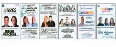 �stas son las 10 boletas que tendr�n los neuquinos para elegir en las PASO