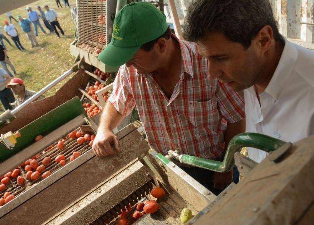El Gobierno local invertir� m�s de $150  millones en la f�brica estatal de tomate