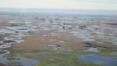 Jun�n: se ampli� la Emergencia Agropecuaria a m�s cuarteles