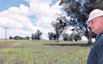 Un campo de Benito Ju�rez fue reconocido por la ONU por estar libre de agrot�xicos