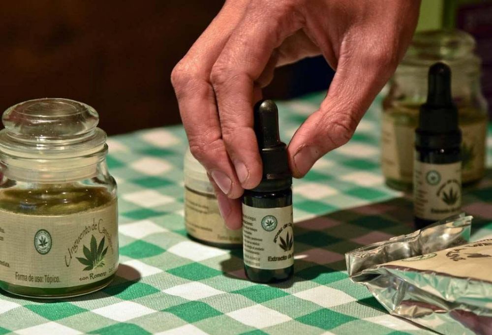 Cannabis: a�n no se aplica la ley en Mendoza y sigue el mercado informal