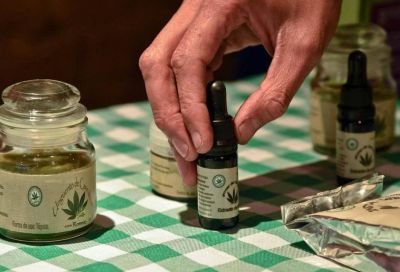 Cannabis: a�n no se aplica la ley en Mendoza y sigue el mercado informal