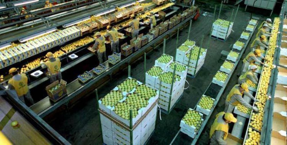 La exportaci�n de limones increment� en U$S 90 millones en los �ltimos dos a�os