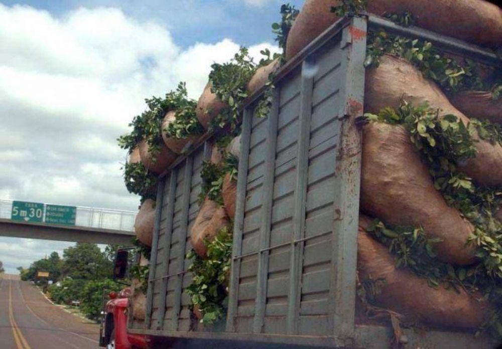 CONTIN�AN LAS PROMESAS DE NACI�N, MIENTRAS LOS PRODUCTORES MISIONEROS SIGUEN ESPERANDO