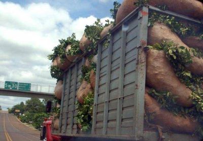 CONTIN�AN LAS PROMESAS DE NACI�N, MIENTRAS LOS PRODUCTORES MISIONEROS SIGUEN ESPERANDO