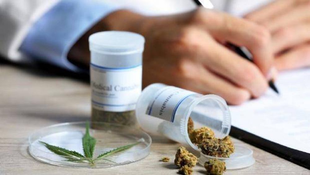 Catamarca avanza en la legalizacin de la marihuana con fines medicinales