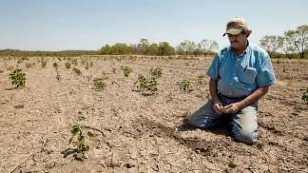 Roma define si raciona el agua por la sequ�a y las p�rdidas ya superan los 2.000 millones de euros