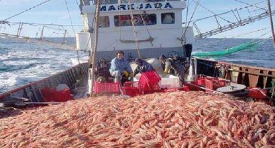 El INIDEP advierte por presi�n pesquera