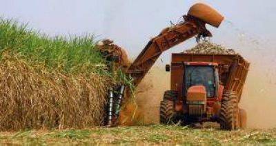 Crece 75% la elaboración de bioetanol en base a caña de azúcar y alientan suba del corte con naftas