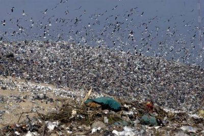 Inaugurar�n una planta que procesar� mil toneladas por d�a de basura en la regi�n de la capital bonaerense