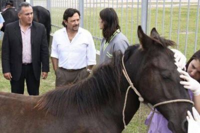 S�enz respondi� al agitador K que busc� ensuciar la reconversi�n