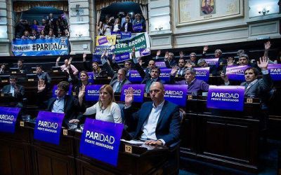 Paridad de G�nero: �Qu� representatividad tuvieron las mujeres en las listas de Precandidatos a legisladores nacionales por la Provincia?