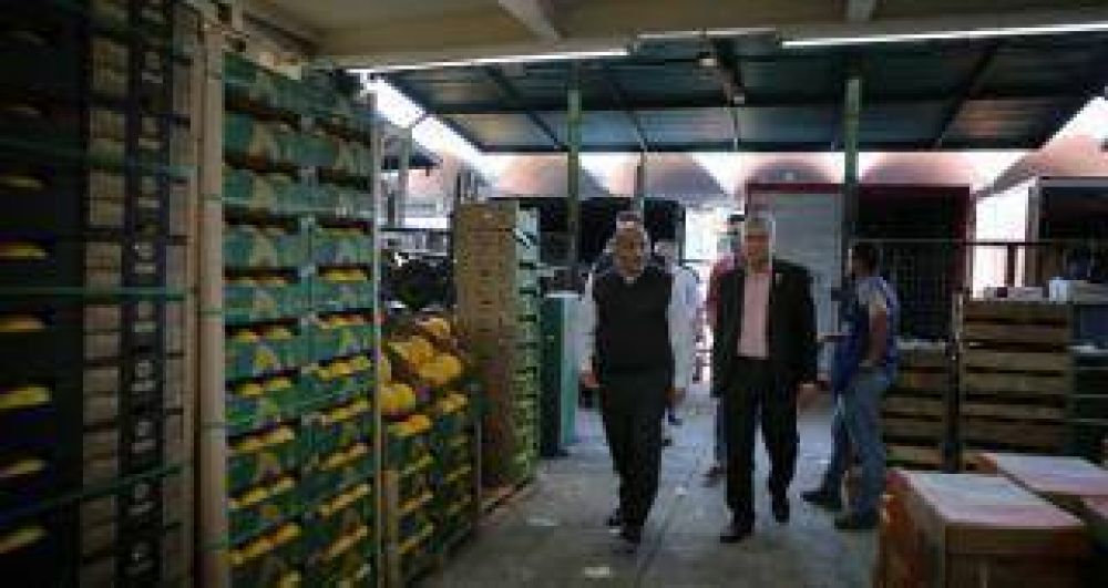 Tucum�n podr�a abastecer de garbanzos, porotos y lim�n al Mercado de Belo Horizonte