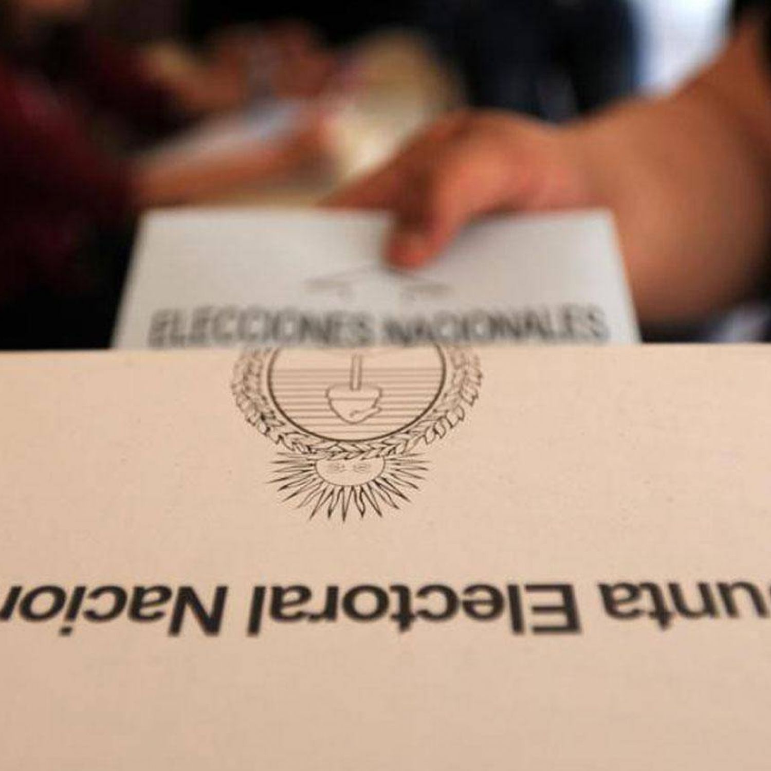 Camino a las PASO: Todo lo que hay que saber sobre las elecciones del ...