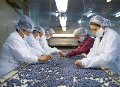 San Pedro presenta l�nea de cr�ditos para pymes industriales