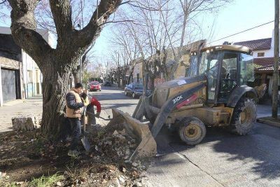Realizaron un operativo de limpieza integral en Lan�s
