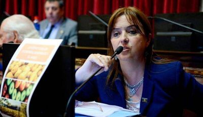 Odarda: �en la provincia se da la polarizaci�n entre quienes est�n a favor de la central nuclear y quienes no�