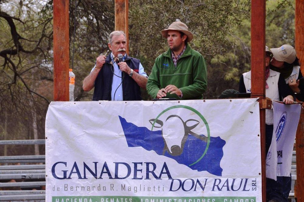 Mejora superior al 35% en precios de hacienda de peque�os productores