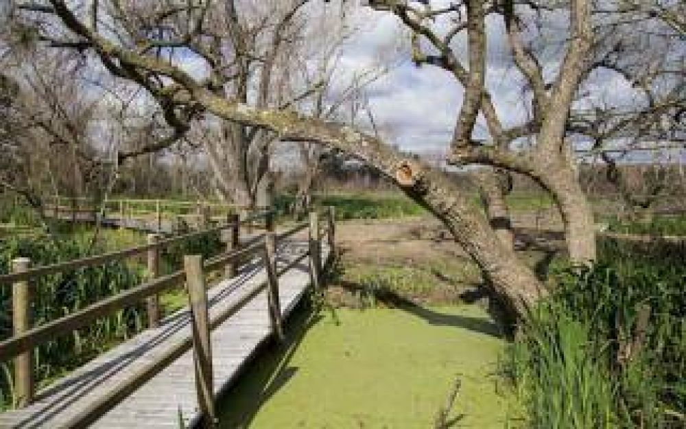 Villa Dom�nico: Crear�n un parque p�blico sobre millones de toneladas de basura