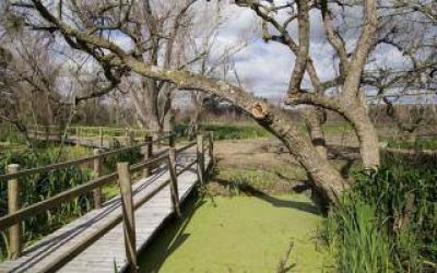 Villa Dom�nico: Crear�n un parque p�blico sobre millones de toneladas de basura