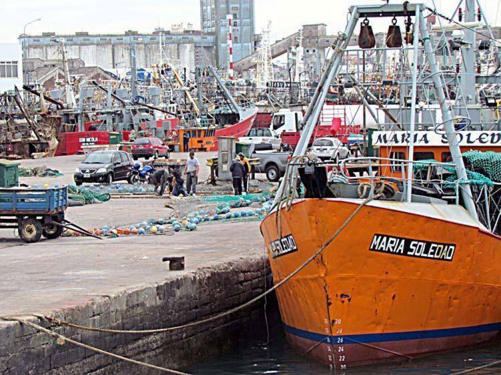 Planean mejorar los reintegros para las exportaciones de la pesca local